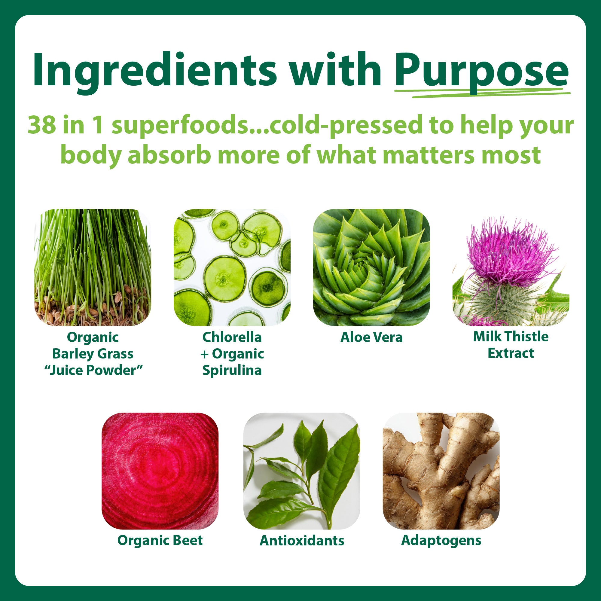 Macro Greens 90 Serving