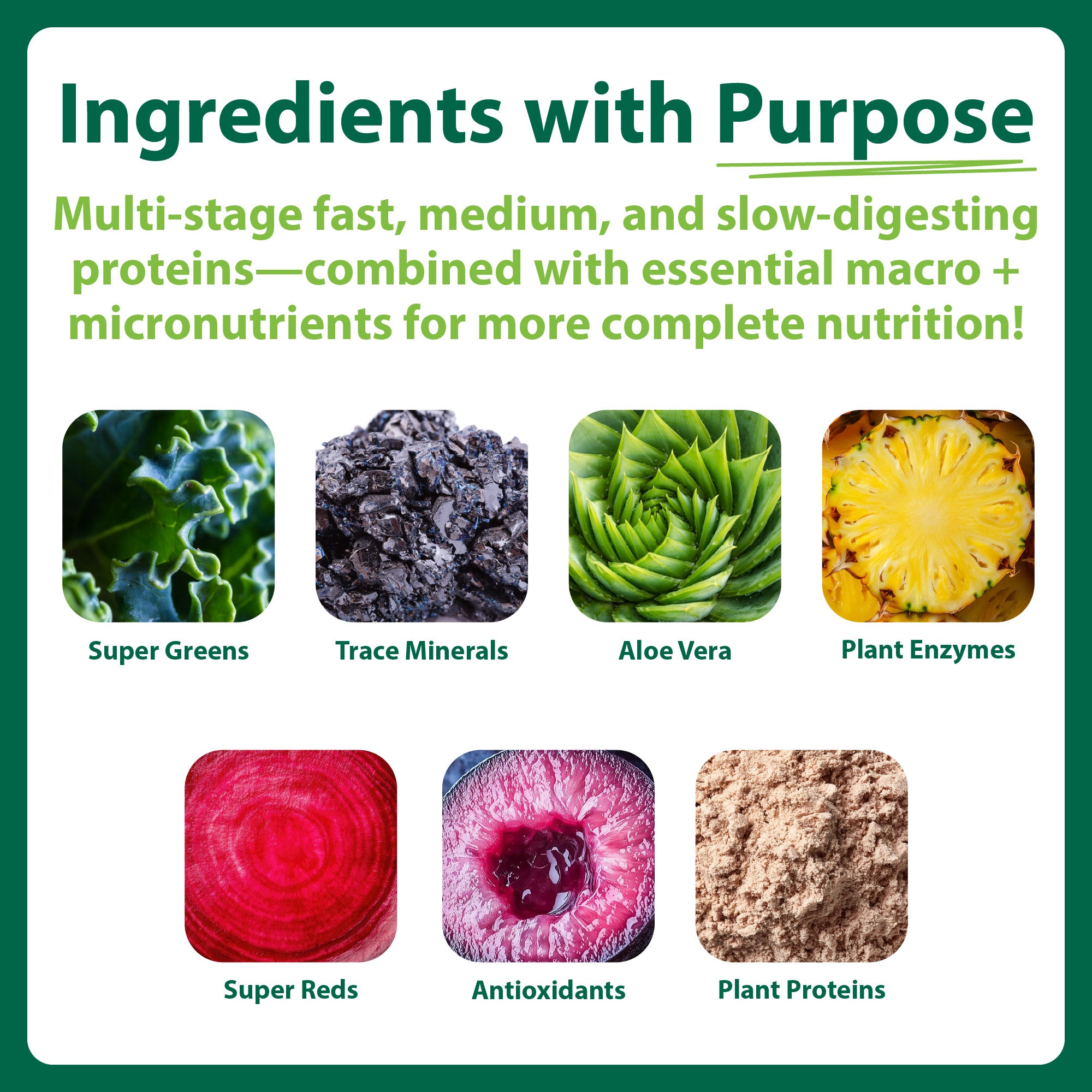 MacroMeal Vegan Vanilla - 15 serving